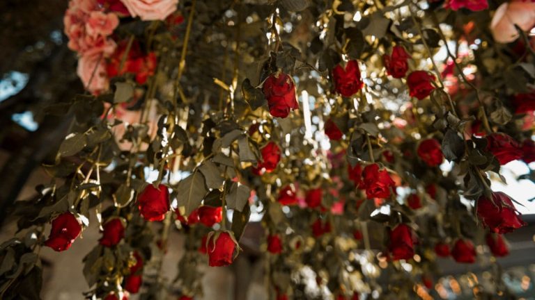 Marriage Bureau Jhelum